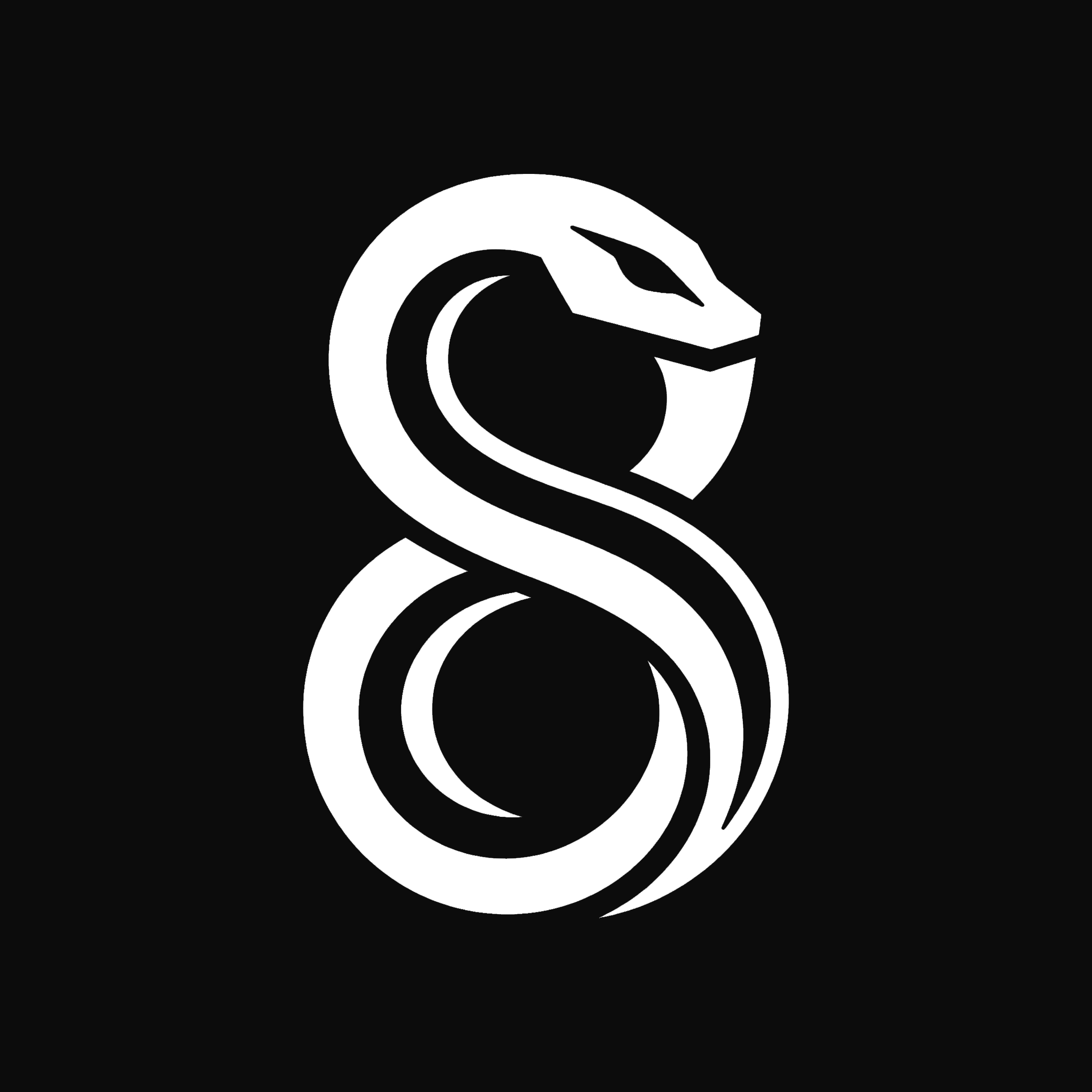 Luca Renzi - Realcism - Brandfolio